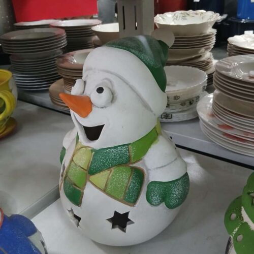 FIGURA 5 SNESKO